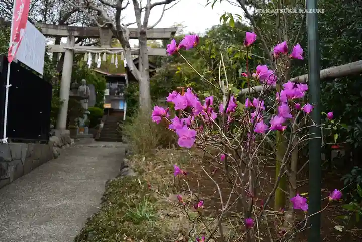 横浜御嶽神社(神奈川県)