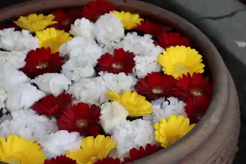上尾御嶽神社の手水舎