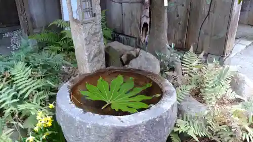 善参庵（廃寺）の手水舎