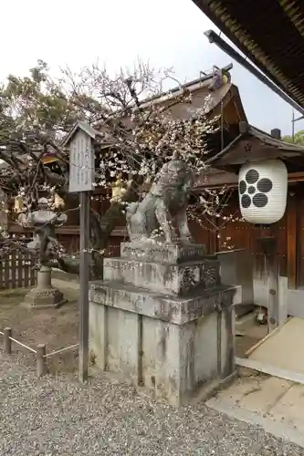 北野天満宮の狛犬