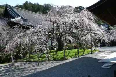 毘沙門堂門跡(京都府)