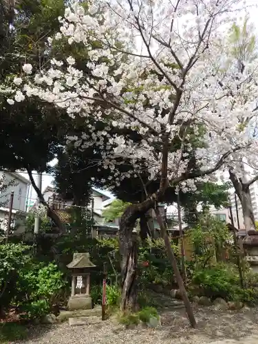 菊田神社の自然