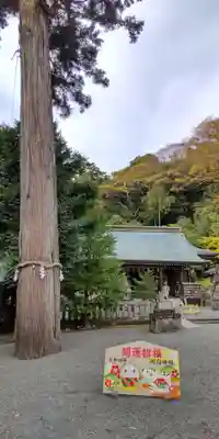 川勾神社(神奈川県)