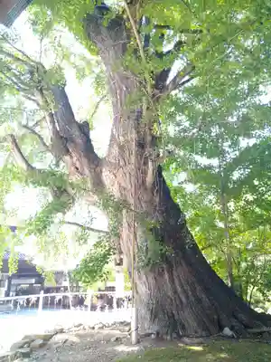 吉備津神社(岡山県)