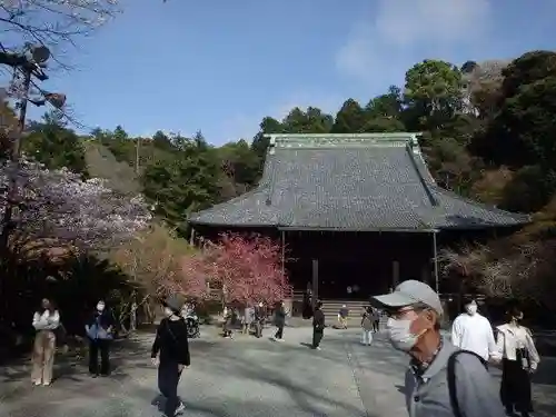 妙本寺の本殿