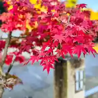 伊勢の国 四天王寺(三重県)