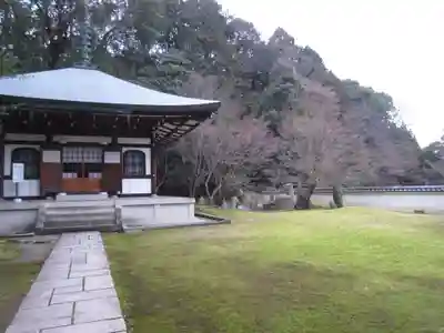 善能寺(京都府)