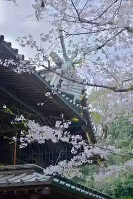 三嶋大社(静岡県)