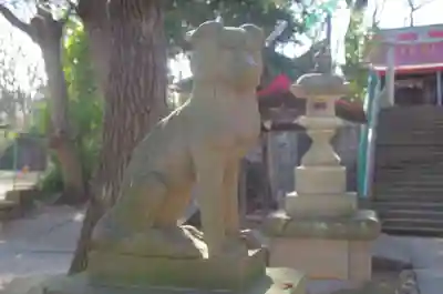 桜川御嶽神社（上板橋御嶽神社）の狛犬