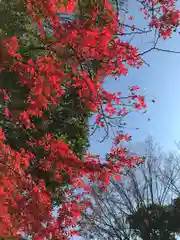 検見川神社の景色