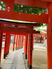 豊栄稲荷神社(東京都)