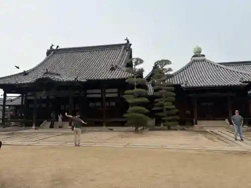 観龍寺の{uncategorized: "未分類", other: "その他", undefined: "問題あり", building: "その他建物", grave: "お墓", sacred_gate: "鳥居", guardian: "狛犬", statue: "像", buddha: "仏像", history: "歴史", nature: "自然", garden: "庭園", animal: "動物", pagoda: "塔", temizu: "手水舎", mountain_gate: "山門・神門", sanctuary: "本殿・本堂", subordinate: "末社・摂社", art: "芸術", scenery: "景色", jizo: "地蔵", ema: "絵馬", goshuin: "御朱印", omikuji: "おみくじ", items: "授与品その他", amulet: "お守り", goshuincho: "御朱印帳", eats: "食事", festival: "お祭り", votive_dance: "神楽", shichigosan: "七五三参", wedding: "結婚式", experience: "体験その他", initially: "初詣", around: "周辺", anti_infection: "感染症対策"}