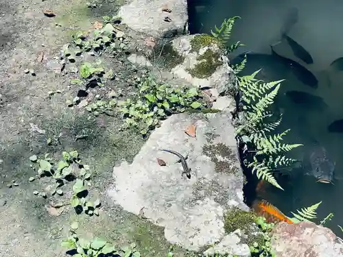 内々神社(愛知県)