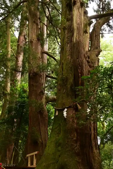 白山比咩神社(石川県)