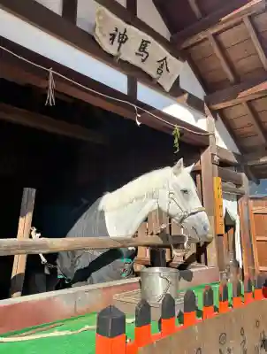 賀茂別雷神社（上賀茂神社）の{uncategorized: "未分類", other: "その他", undefined: "問題あり", building: "その他建物", grave: "お墓", sacred_gate: "鳥居", guardian: "狛犬", statue: "像", buddha: "仏像", history: "歴史", nature: "自然", garden: "庭園", animal: "動物", pagoda: "塔", temizu: "手水舎", mountain_gate: "山門・神門", sanctuary: "本殿・本堂", subordinate: "末社・摂社", art: "芸術", scenery: "景色", jizo: "地蔵", ema: "絵馬", goshuin: "御朱印", omikuji: "おみくじ", items: "授与品その他", amulet: "お守り", goshuincho: "御朱印帳", eats: "食事", festival: "お祭り", votive_dance: "神楽", shichigosan: "七五三参", wedding: "結婚式", experience: "体験その他", initially: "初詣", around: "周辺", anti_infection: "感染症対策"}