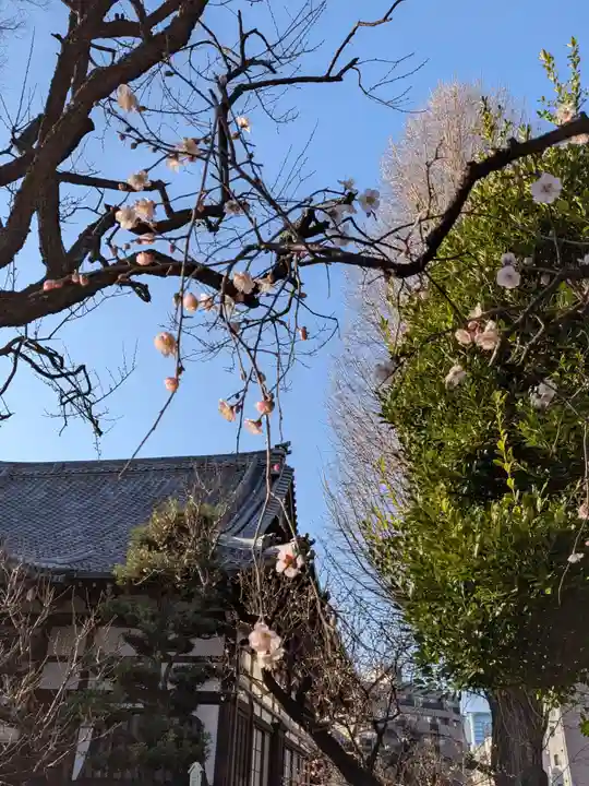 瑞円寺(東京都)