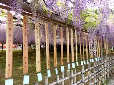 玉敷神社(埼玉県)