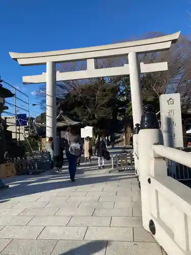 白旗神社の鳥居