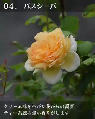 宝光寺(北海道)