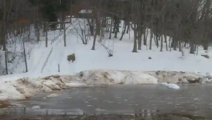 塘路神社の周辺