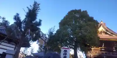 西新井大師総持寺(東京都)