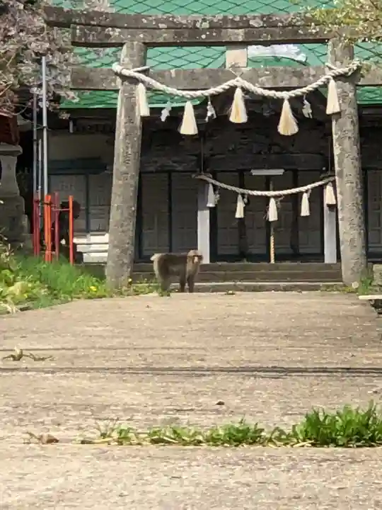 八幡宮(青森県)