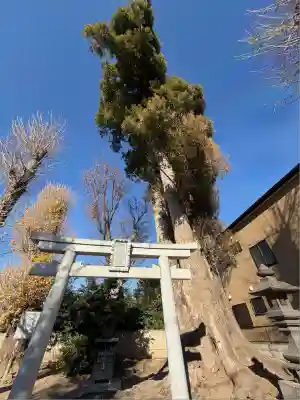 宮鍋神社(群馬県)