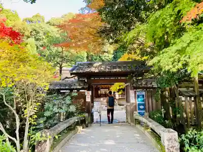 宇治上神社のその他建物