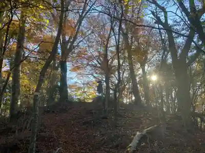 高越寺(徳島県)