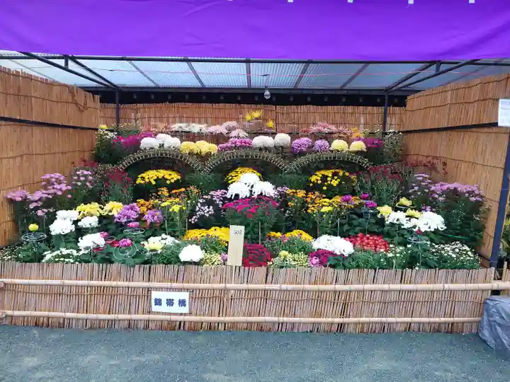 宗像大社(福岡県)