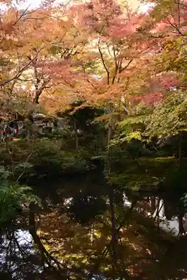 圓光寺(京都府)