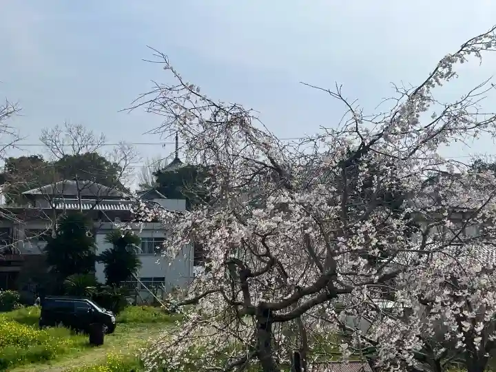 道成寺 奥の院観音堂の{uncategorized: "未分類", other: "その他", undefined: "問題あり", building: "その他建物", grave: "お墓", sacred_gate: "鳥居", guardian: "狛犬", statue: "像", buddha: "仏像", history: "歴史", nature: "自然", garden: "庭園", animal: "動物", pagoda: "塔", temizu: "手水舎", mountain_gate: "山門・神門", sanctuary: "本殿・本堂", subordinate: "末社・摂社", art: "芸術", scenery: "景色", jizo: "地蔵", ema: "絵馬", goshuin: "御朱印", omikuji: "おみくじ", items: "授与品その他", amulet: "お守り", goshuincho: "御朱印帳", eats: "食事", festival: "お祭り", votive_dance: "神楽", shichigosan: "七五三参", wedding: "結婚式", experience: "体験その他", initially: "初詣", around: "周辺", anti_infection: "感染症対策"}