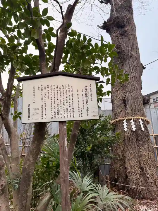 戸越八幡神社の{uncategorized: "未分類", other: "その他", undefined: "問題あり", building: "その他建物", grave: "お墓", sacred_gate: "鳥居", guardian: "狛犬", statue: "像", buddha: "仏像", history: "歴史", nature: "自然", garden: "庭園", animal: "動物", pagoda: "塔", temizu: "手水舎", mountain_gate: "山門・神門", sanctuary: "本殿・本堂", subordinate: "末社・摂社", art: "芸術", scenery: "景色", jizo: "地蔵", ema: "絵馬", goshuin: "御朱印", omikuji: "おみくじ", items: "授与品その他", amulet: "お守り", goshuincho: "御朱印帳", eats: "食事", festival: "お祭り", votive_dance: "神楽", shichigosan: "七五三参", wedding: "結婚式", experience: "体験その他", initially: "初詣", around: "周辺", anti_infection: "感染症対策"}