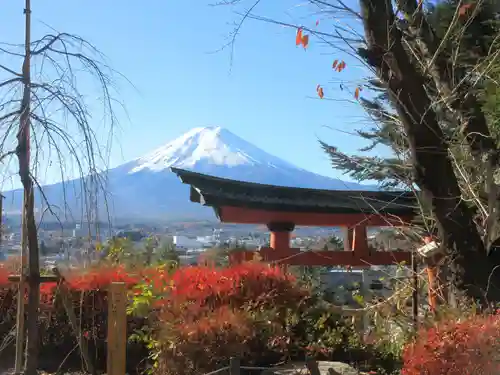 新倉富士浅間神社(山梨県)