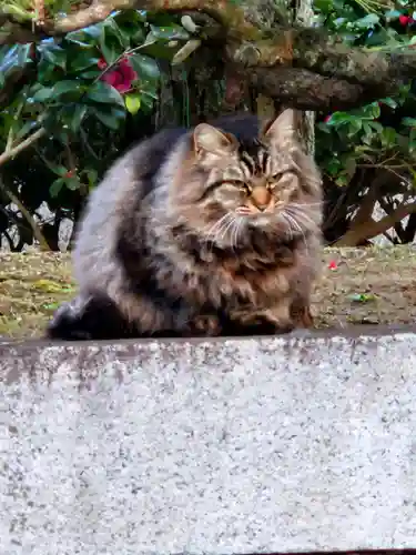成田山新勝寺(千葉県)
