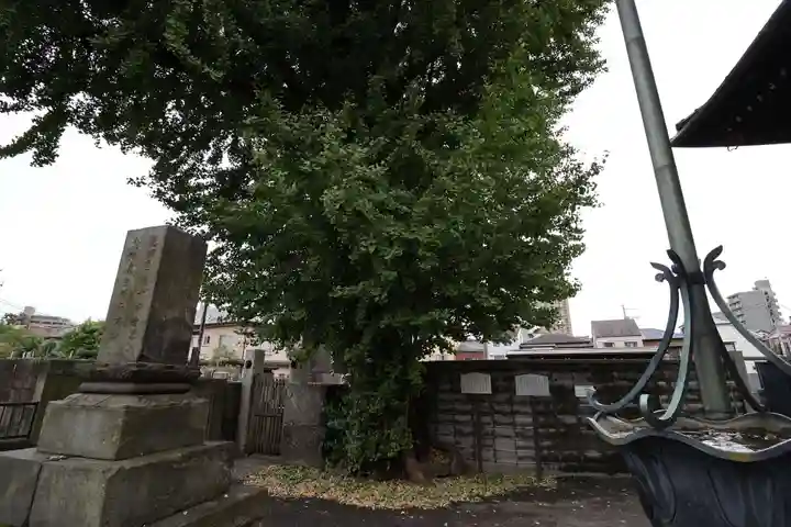 法禅寺(東京都)