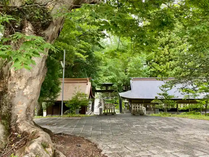 諏訪大社上社前宮(長野県)