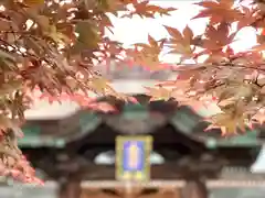 善光寺大本願(長野県)