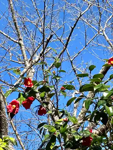 大宮大神(茨城県)