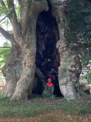 高源寺(茨城県)