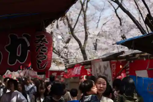 平野神社の食事