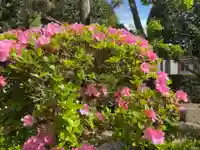 美奈宜神社(福岡県)