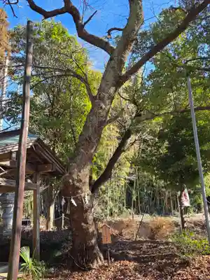 鷲神社(茨城県)