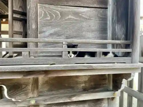 小台稲荷神社(神奈川県)