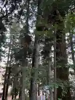 大宮温泉神社(栃木県)