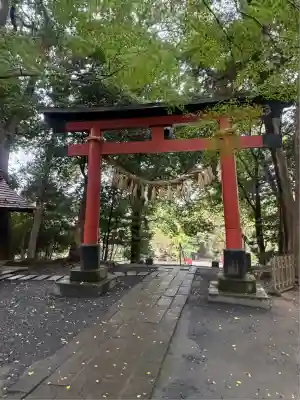 氷川女體神社(埼玉県)