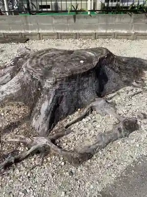 津島神社(林地区)の庭園