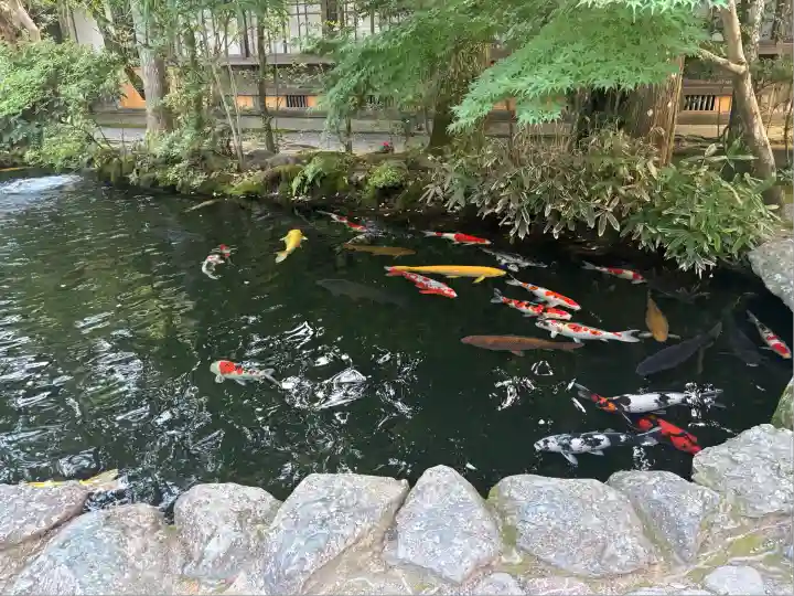 伊勢神宮内宮(皇大神宮)(三重県)