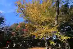 日吉神社の景色