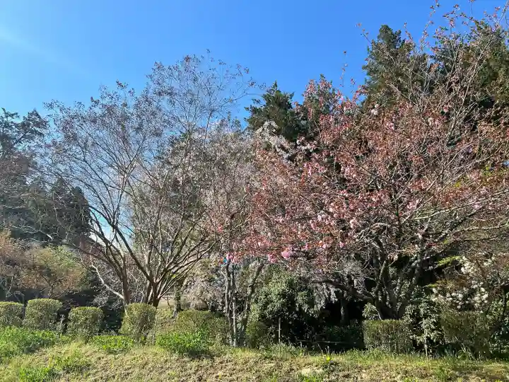 中尊寺(岩手県)